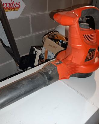 Soffiatore elettrico Black e Decker