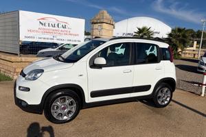 Fiat Panda 1.3 MJT S&S 4x4 Antartica