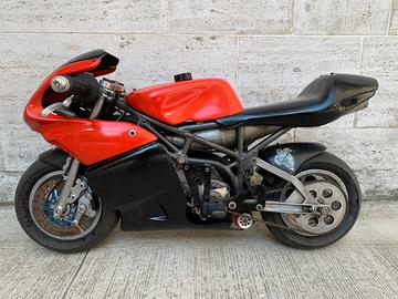 Minimoto Italiana Dm allestita Polini Malossi