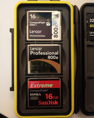 LEXAR PROFESSIONAL