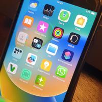 Apple Iphone 8 plus giga 256