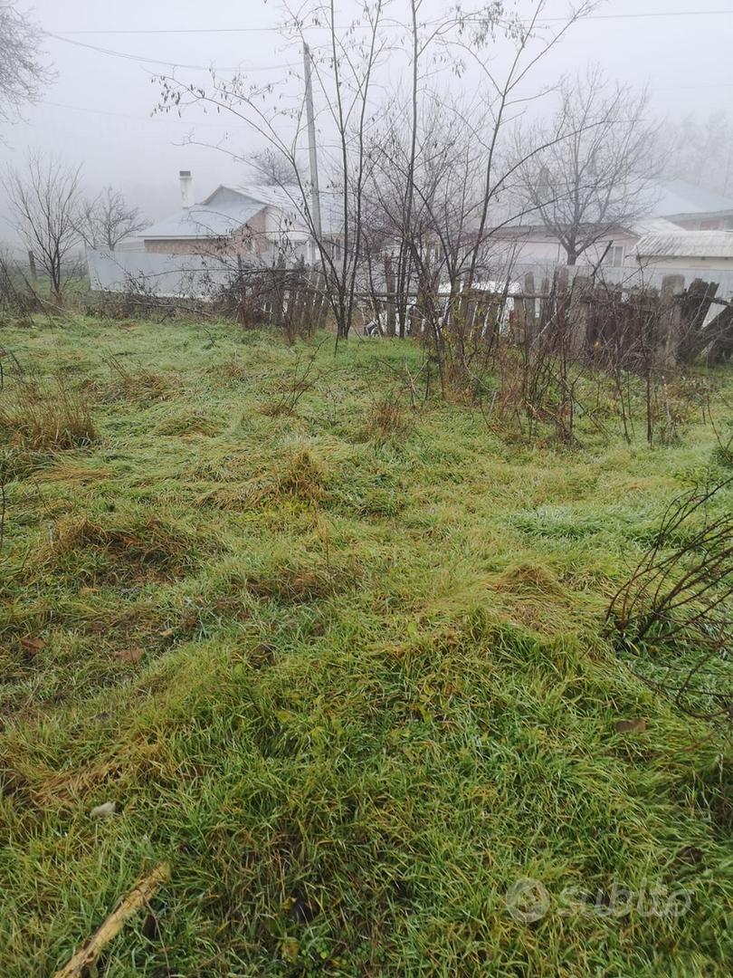 Terreno 2800 mq con casa da ristrutturare- Romania - Ansicht 2