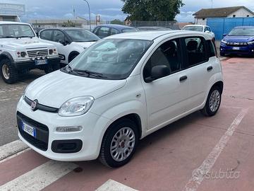 FIAT Panda PANDA 1.2 EasyPower Gpl 70cv