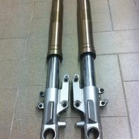 Forcelle Kawasaki ZX12