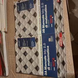 Manuale blu 2.0 di matematica 3A. 3B