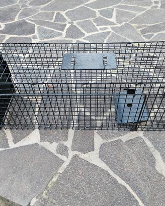 Gabbia per Volpi o animali con blocco porta