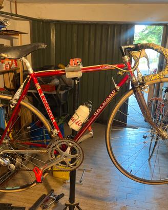 Colnago master eroica campagnolo delta