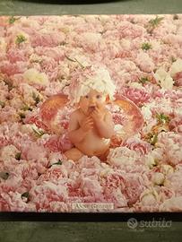 Ritratti bambini di Anna Geddes