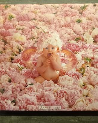 Ritratti bambini di Anna Geddes