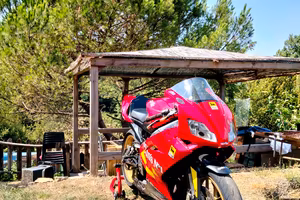 Aprilia RS 125 2T 