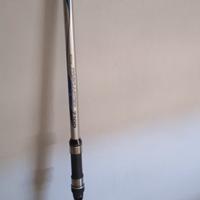 2 Canne da pesca DAIWA