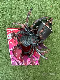 Bomboletta unica nel suo stile