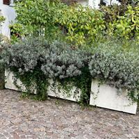 Set 4 fioriere da giardino