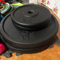 Dischi dechtlhon 100kg