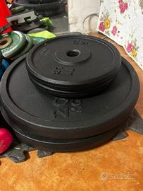 Dischi dechtlhon 100kg