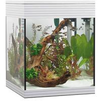 Acquario Askoll Pure M