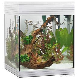 Acquario Askoll Pure M