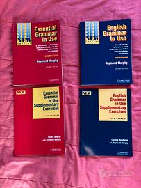 Essential grammar in use + English grammar in use