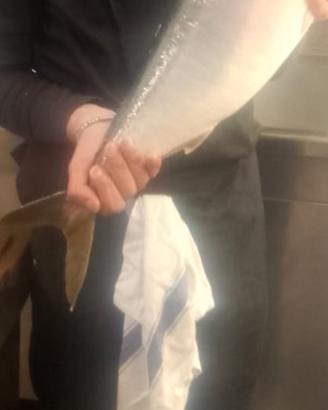 Cuoco Capo partita