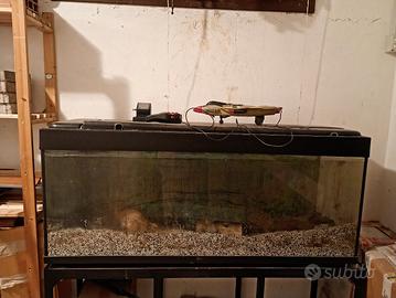 acquario 200 litri