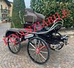 carrozza-per-cavalli-marathon-holad-360kg