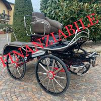 CARROZZA PER CAVALLI MARATHON HOLAD 360kg