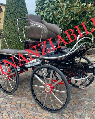 CARROZZA PER CAVALLI MARATHON HOLAD 360kg