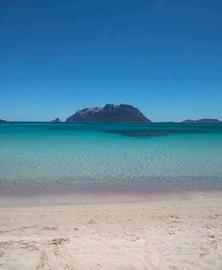 Bilocale Porto Istana