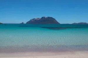 Bilocale Porto Istana