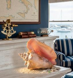 Conchiglia gigante  antica 