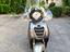Immagine 6