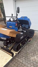 Mini escavatore