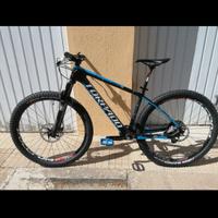 Torpado full carbon