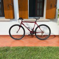 BICI MTB 26”