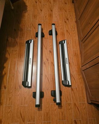 batte thule + snow pack extender