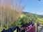 Immagine 26