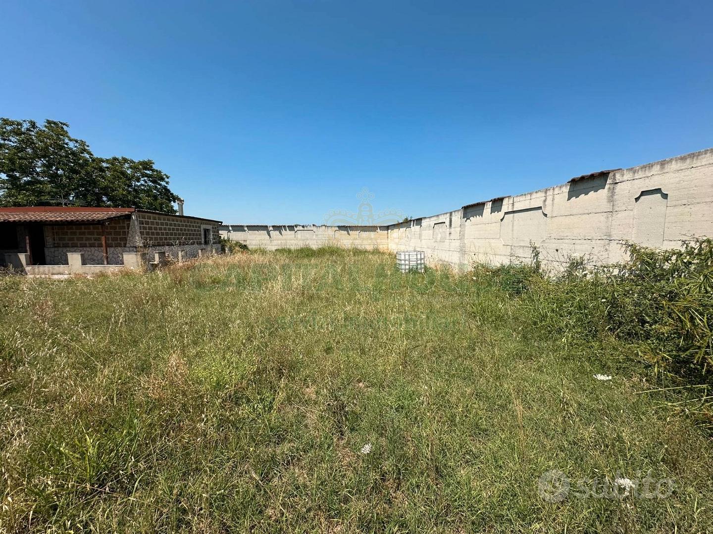 S2 terreno edificabile con struttura - Altro