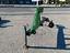 Immagine 3