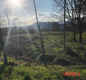 Immobile in asta di 1016 m² a Gazzola