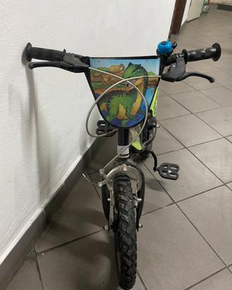 Bici bambino raggio 12