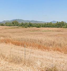 13 ettari terreni agricoli