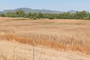 13 ettari terreni agricoli