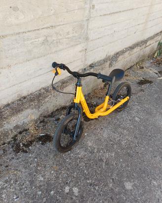 Bici pedagogica