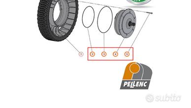 "Kit Motore Ruota Posteriore Pellenc Rasion 2 - Co