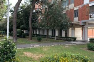 Locale commerciale trasformabile appartamento 