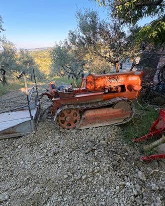 Trattore Fiat cingolata 455C