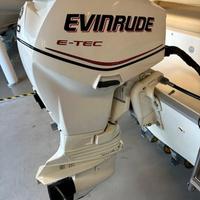 Evinrude 40 CV 240h circa