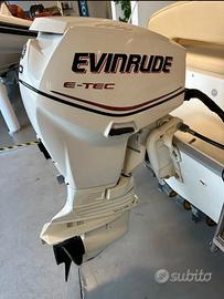 Evinrude 40 CV 240h circa