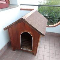 casetta per cani