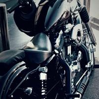 harley davidson sportster 883